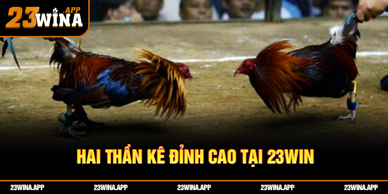 Hai thần kê đỉnh cao tại 23WIN: tinh hoa của nghệ thuật chọi gà